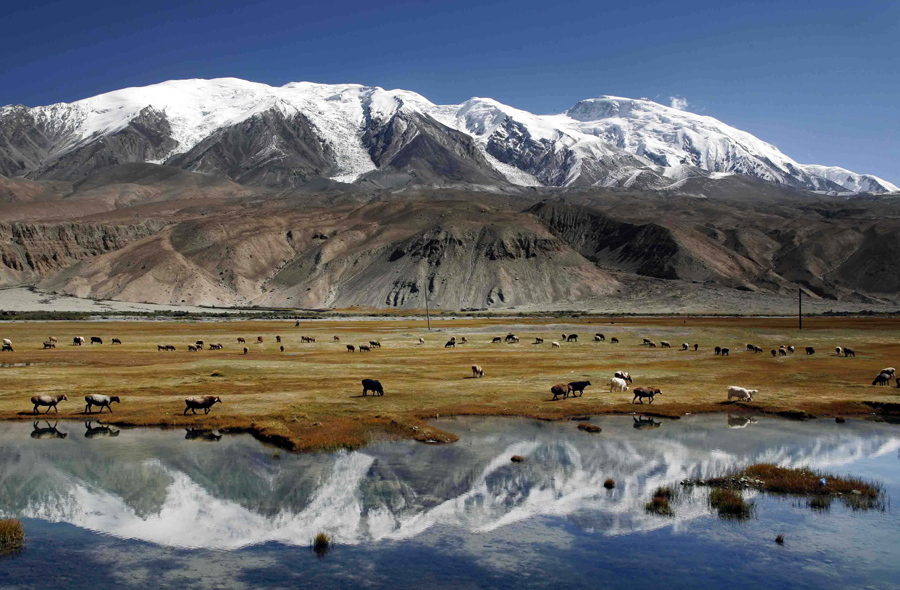 倍頭條 | 拍得銅礦，格局打開！倍杰特業(yè)務(wù)新布局