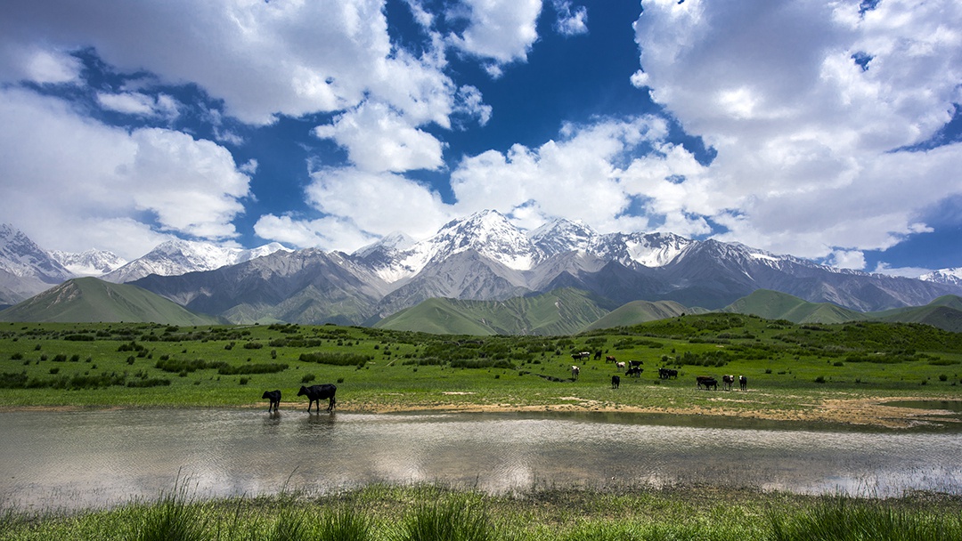 倍頭條 | 一周內(nèi)倍杰特成功競得兩處銅礦！